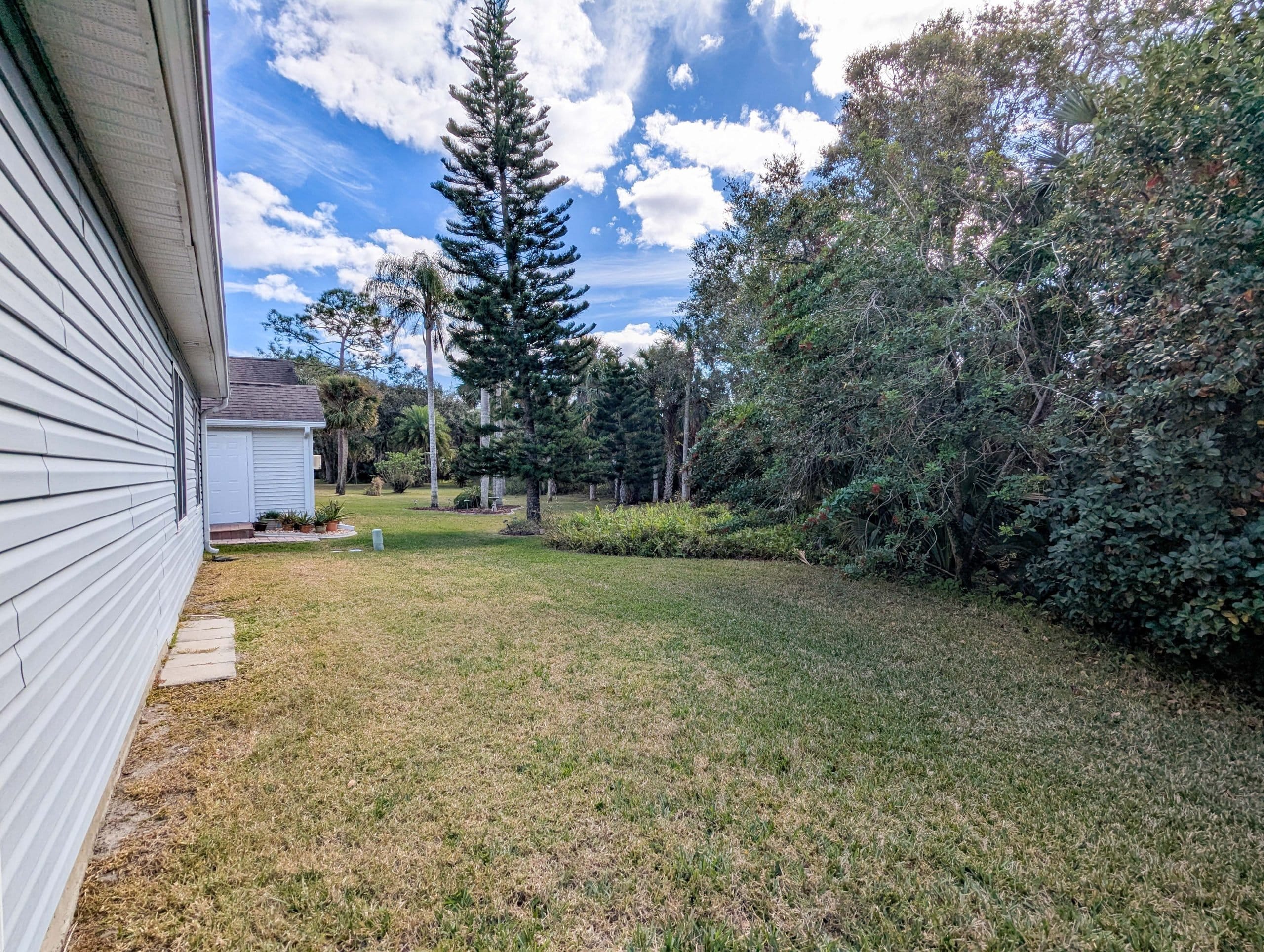 PXL_20250127_162800502